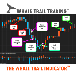 Whale Trail Indicator